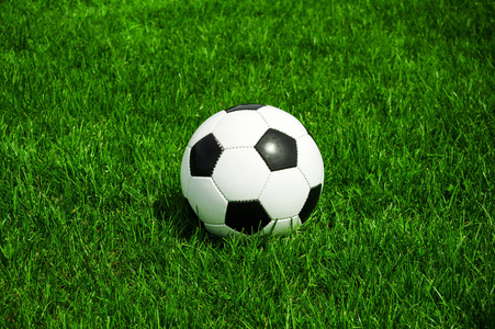 查看足彩预测数据界面